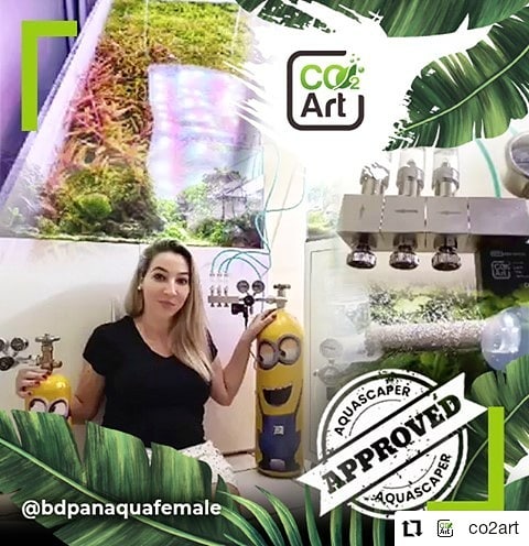 Príspevok Instagram od @bdpanaquafemale