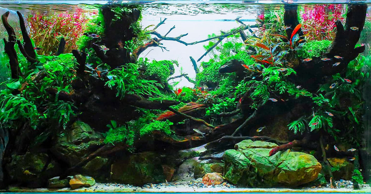 Príspevok Instagram od @jackfryerscapes