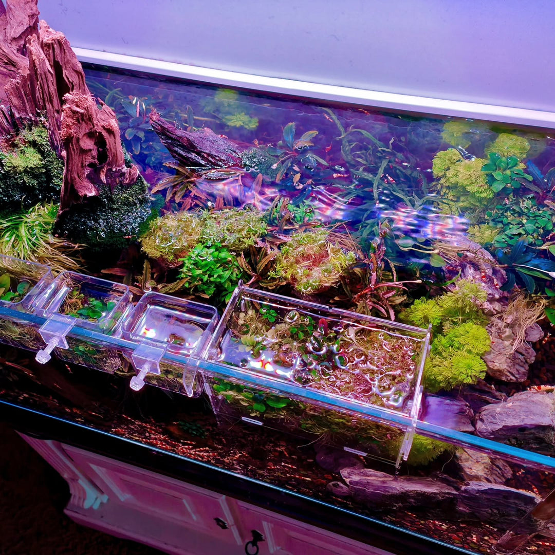 Príspevok Instagram od @aquascapebarendrecht