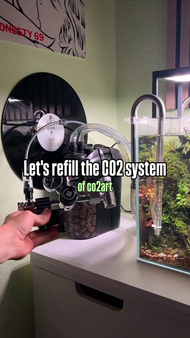 Príspevok Instagram od @jj.scaping.a