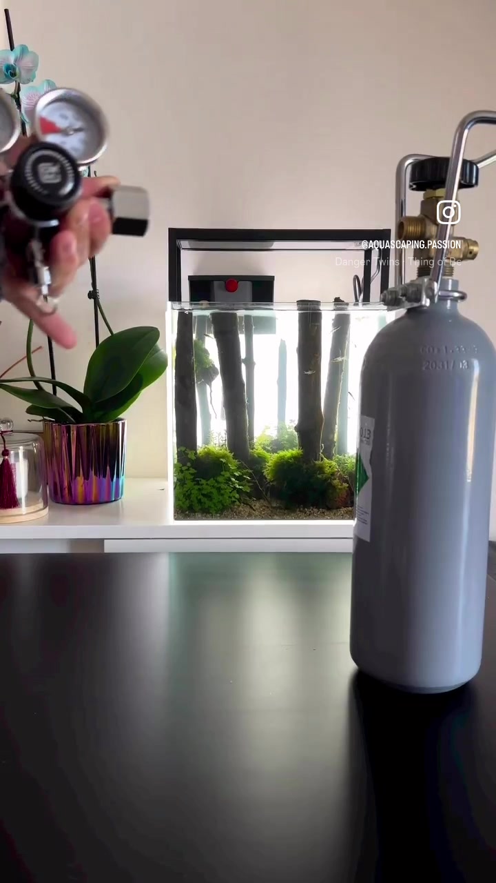 Video TikTok od @aquascaping.passion