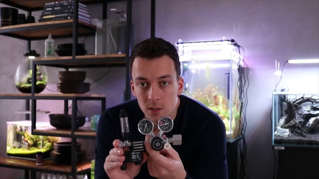 Video YouTube od @mjaquascaping